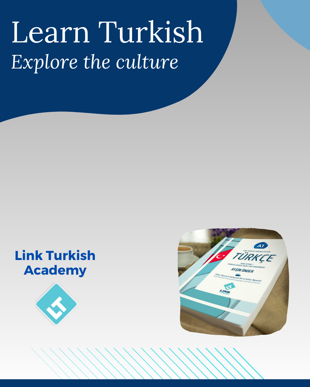 Link-Turkish-Academy-mobil
